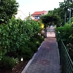 Iris * ויר