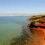 Iris * ויר