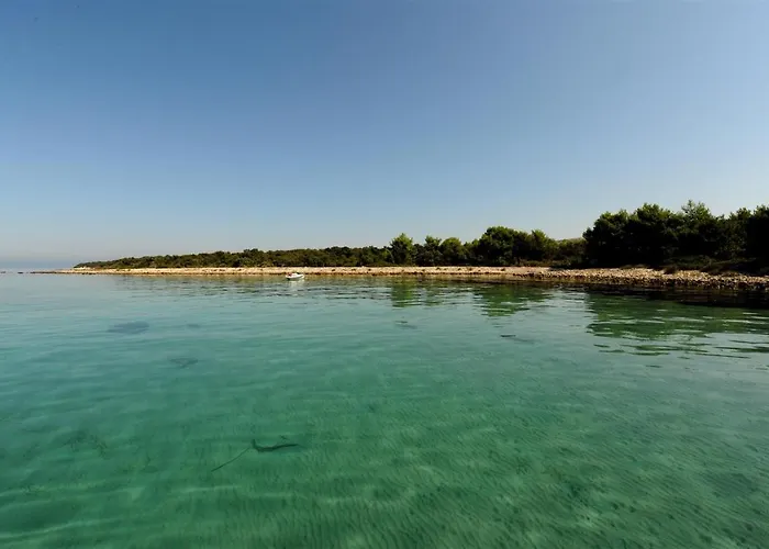 Iris דירה ויר